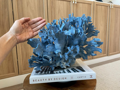 Genuine 100% Natural Blue Ridge Coral 12.5" x 10.25" x 10" Long Fossil Specimen Coastal Ocean Reef Display Nautical Beach House Décor