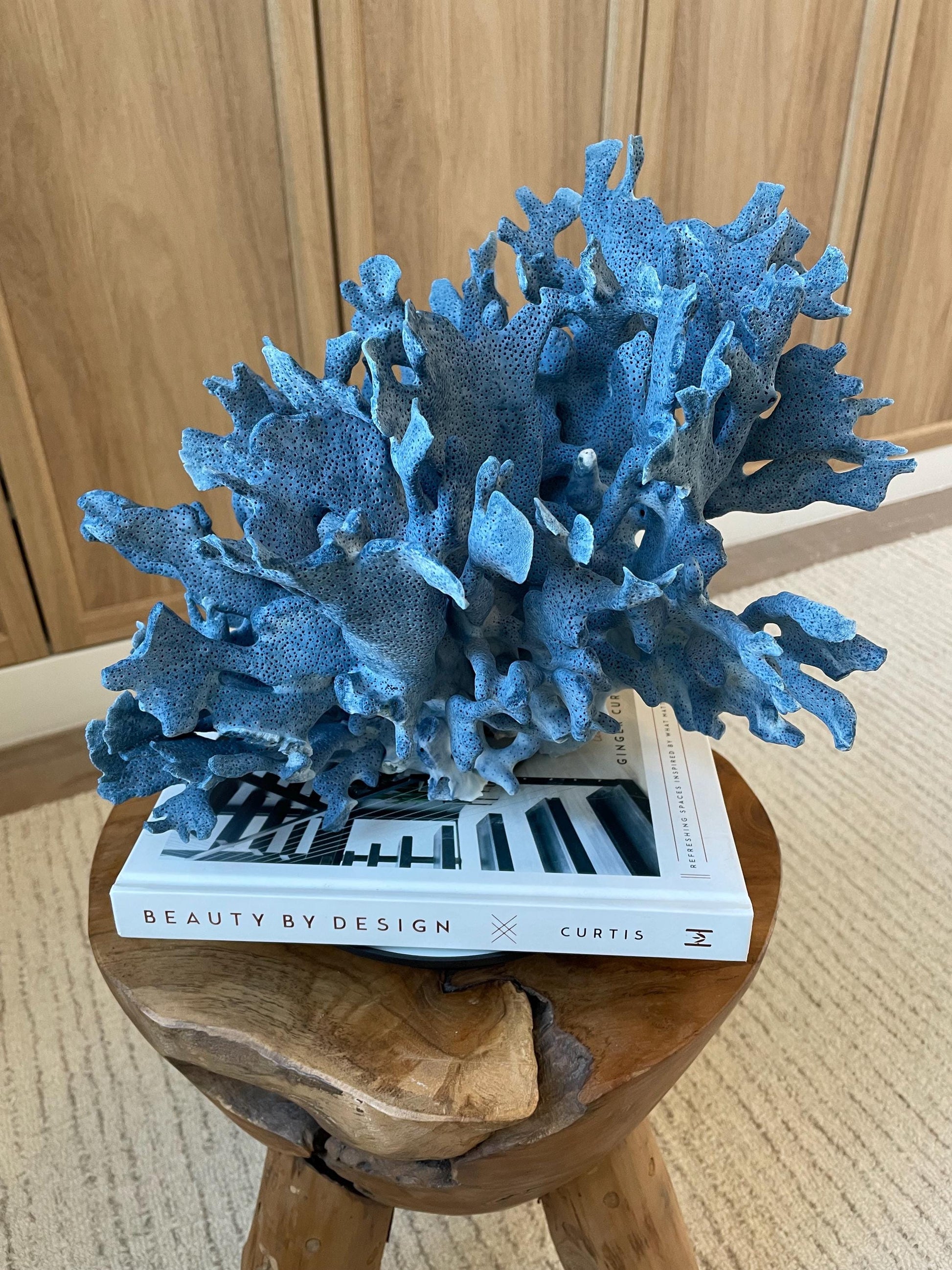 Genuine 100% Natural Blue Ridge Coral 12.5" x 10.25" x 10" Long Fossil Specimen Coastal Ocean Reef Display Nautical Beach House Décor