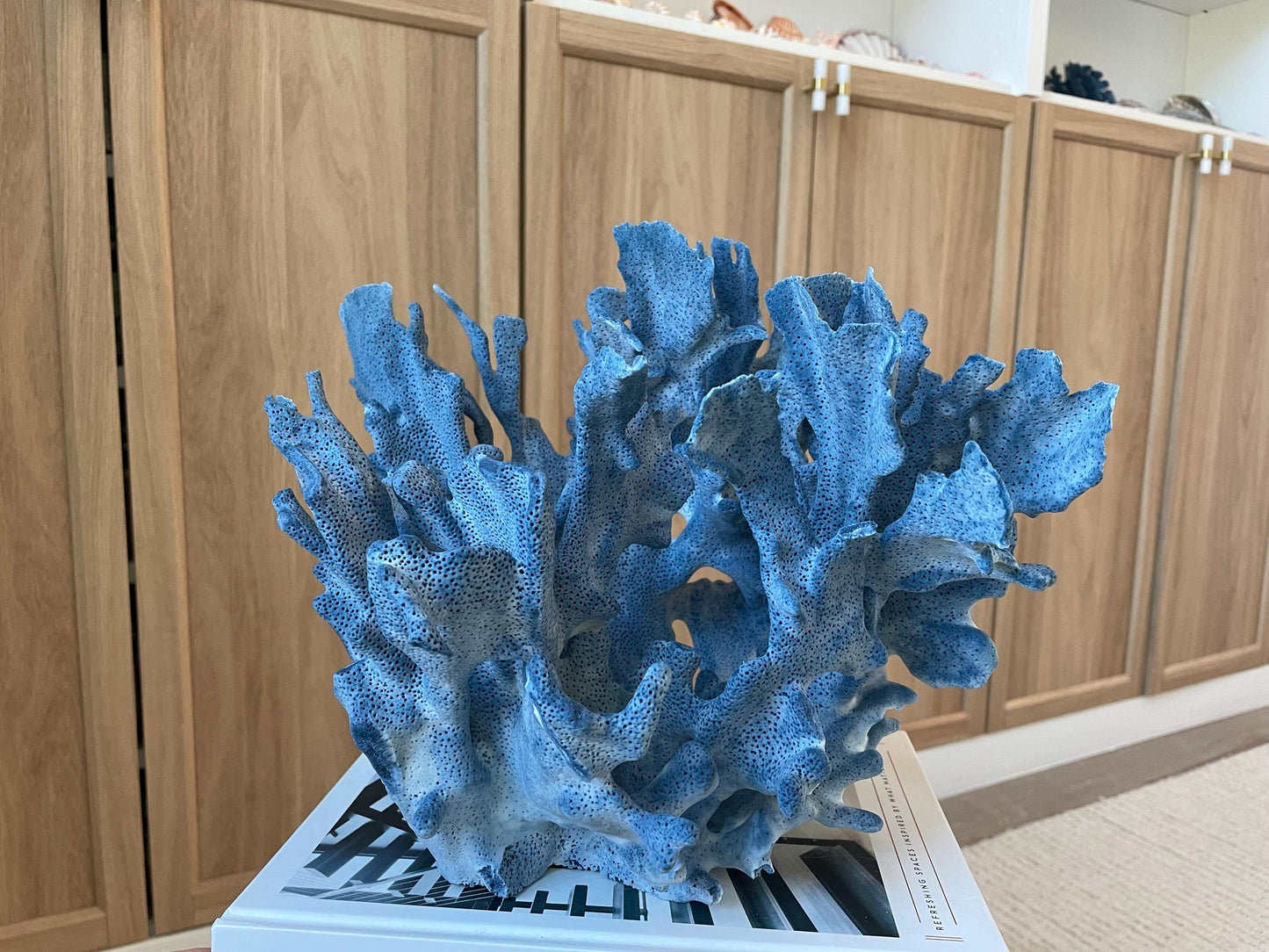 Genuine 100% Natural Blue Ridge Coral 13.5" x 11" x 9.5" Long Fossil Specimen Coastal Ocean Reef Display Nautical Beach House Décor