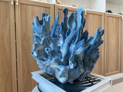 Genuine 100% Natural Blue Ridge Coral 13.5" x 11" x 9.5" Long Fossil Specimen Coastal Ocean Reef Display Nautical Beach House Décor