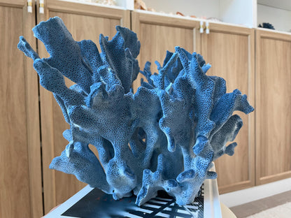Genuine 100% Natural Blue Ridge Coral 13.5" x 11" x 9.5" Long Fossil Specimen Coastal Ocean Reef Display Nautical Beach House Décor
