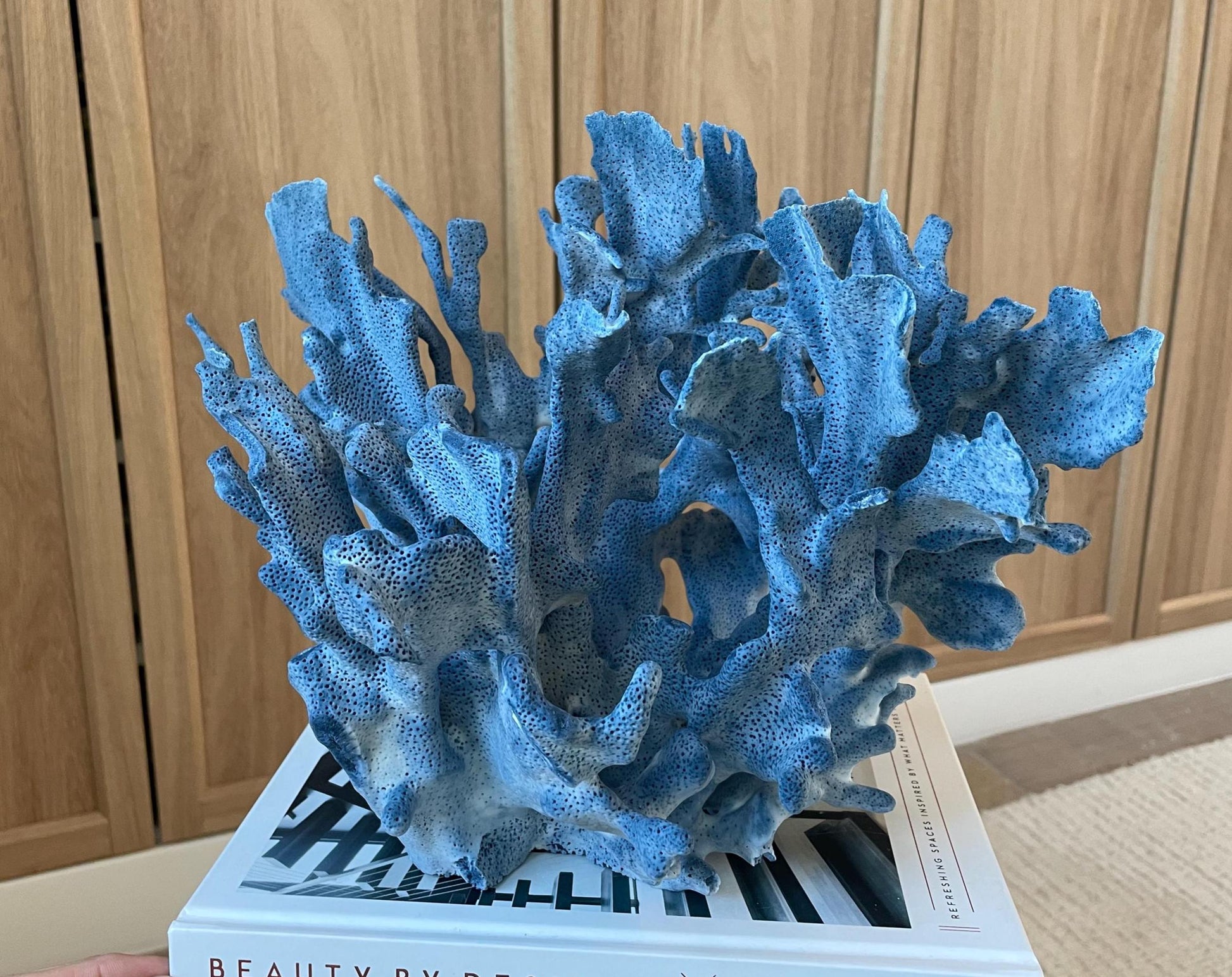 Genuine 100% Natural Blue Ridge Coral 13.5" x 11" x 9.5" Long Fossil Specimen Coastal Ocean Reef Display Nautical Beach House Décor
