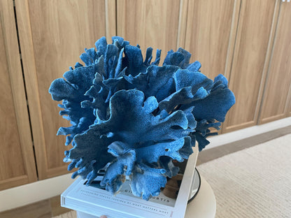 Genuine 100% Natural Blue Ridge Coral 13.5" x 11.5" x 9.5" Long Fossil Specimen Coastal Ocean Reef Display Nautical Beach House Décor