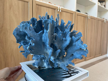 Genuine 100% Natural Blue Ridge Coral 13.5" x 11.5" x 9.5" Long Fossil Specimen Coastal Ocean Reef Display Nautical Beach House Décor