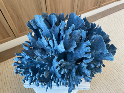 Genuine 100% Natural Blue Ridge Coral 13.5" x 11.5" x 9.5" Long Fossil Specimen Coastal Ocean Reef Display Nautical Beach House Décor