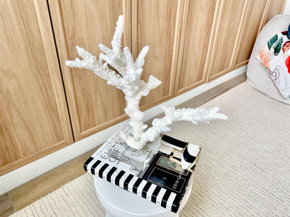 Genuine 100% Natural BRANCH CORAL 13.5" x 12" x 7" Long Fossil Specimen Coastal Ocean Reef Display Nautical Beach House Décor