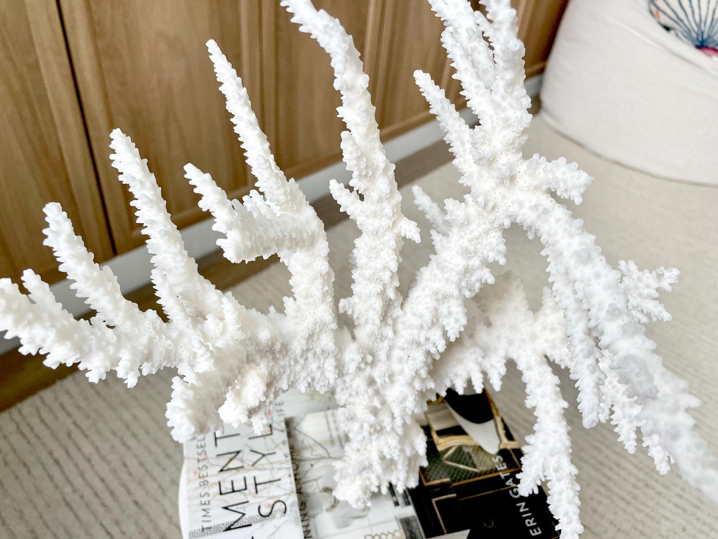 Genuine 100% Natural BRANCH CORAL 13" x 10" x 9" Long Fossil Specimen Coastal Ocean Reef Display Nautical Beach House Décor