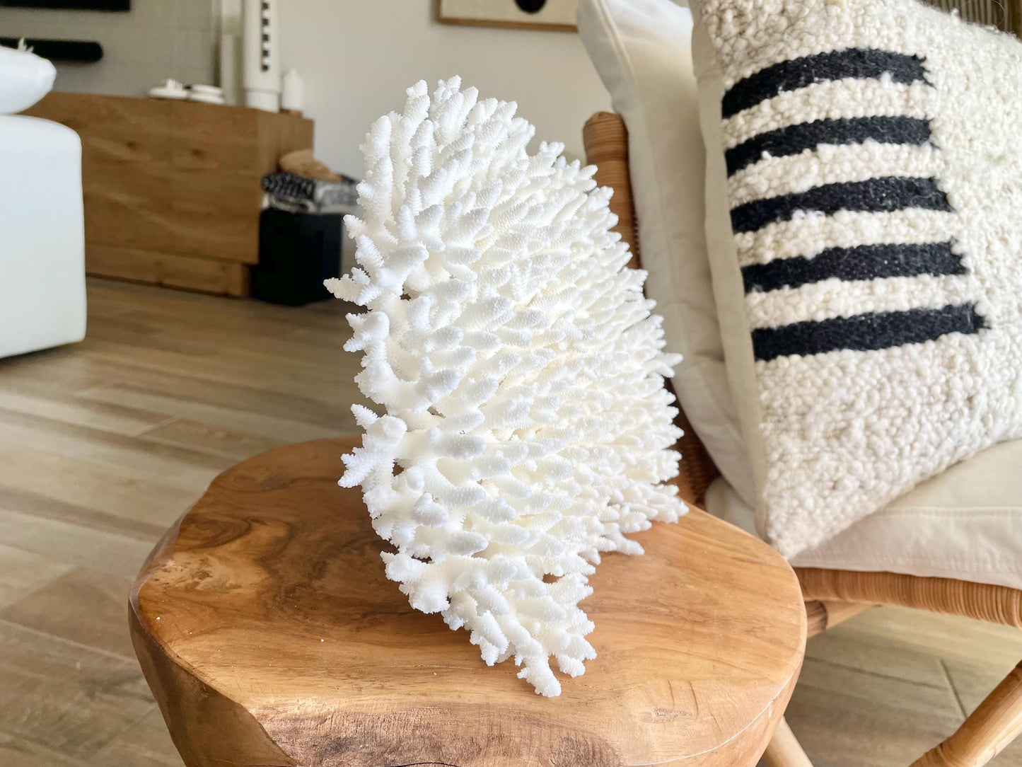 Genuine 100% Natural TABLE CORAL 12" x 9.5" x 5.5" White Fossil Specimen Coastal Beach House Décor