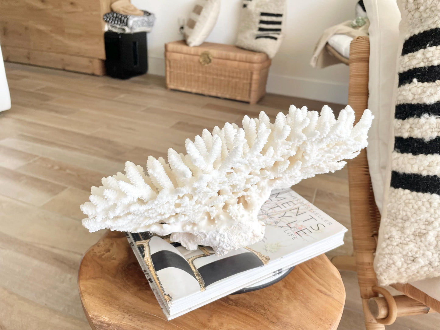 Genuine 100% Natural TABLE CORAL 12.75" x 6.75" x 6.75" White Fossil Specimen Coastal Beach House Décor