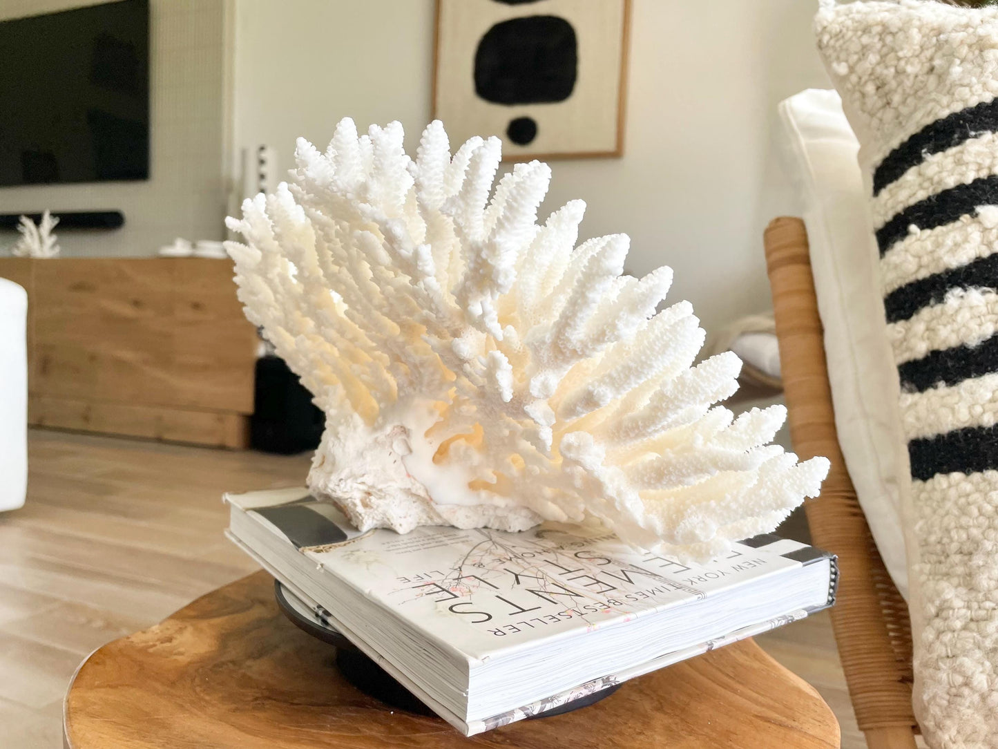 Genuine 100% Natural TABLE CORAL 12.75" x 6.75" x 6.75" White Fossil Specimen Coastal Beach House Décor
