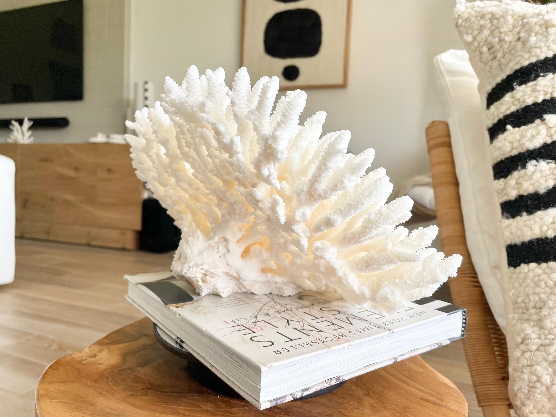 Genuine 100% Natural TABLE CORAL 12.75" x 6.75" x 6.75" White Fossil Specimen Coastal Beach House Décor