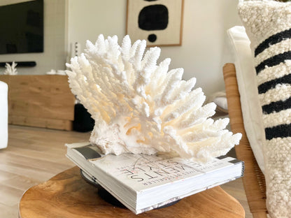 Genuine 100% Natural TABLE CORAL 12.75" x 6.75" x 6.75" White Fossil Specimen Coastal Beach House Décor