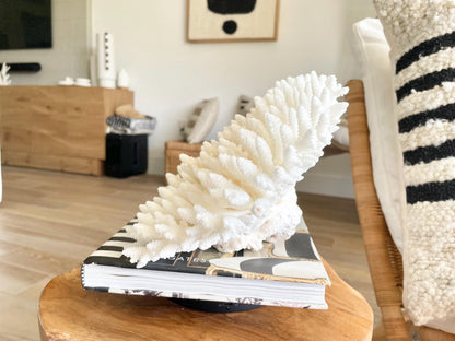 Genuine 100% Natural TABLE CORAL 12.75" x 6.75" x 6.75" White Fossil Specimen Coastal Beach House Décor