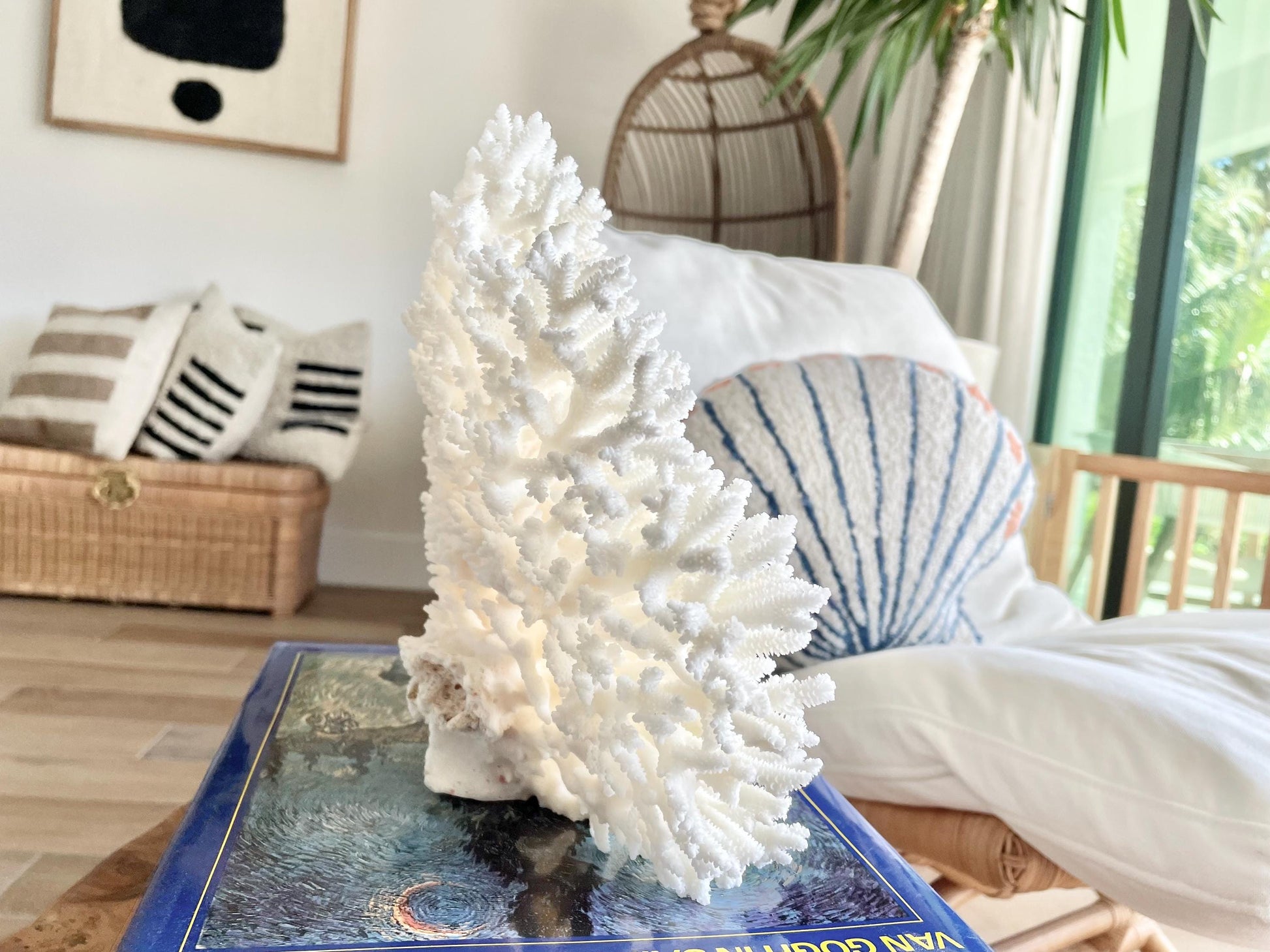 Genuine 100% Natural TABLE CORAL 12" x 9.5" x 5" White Fossil Specimen Coastal Beach House Décor