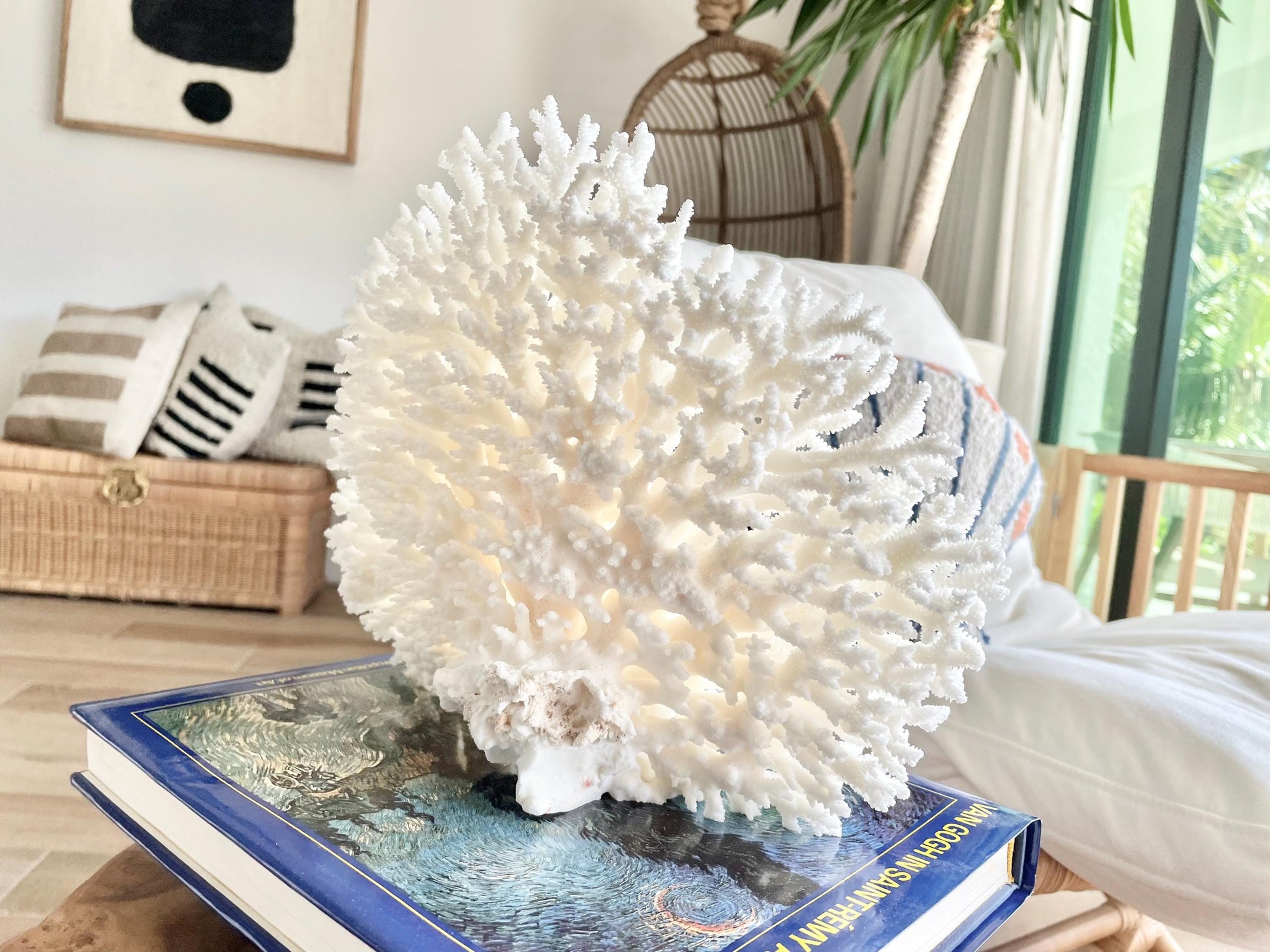 Genuine 100% Natural TABLE CORAL 12" x 9.5" x 5" White Fossil Specimen Coastal Beach House Décor