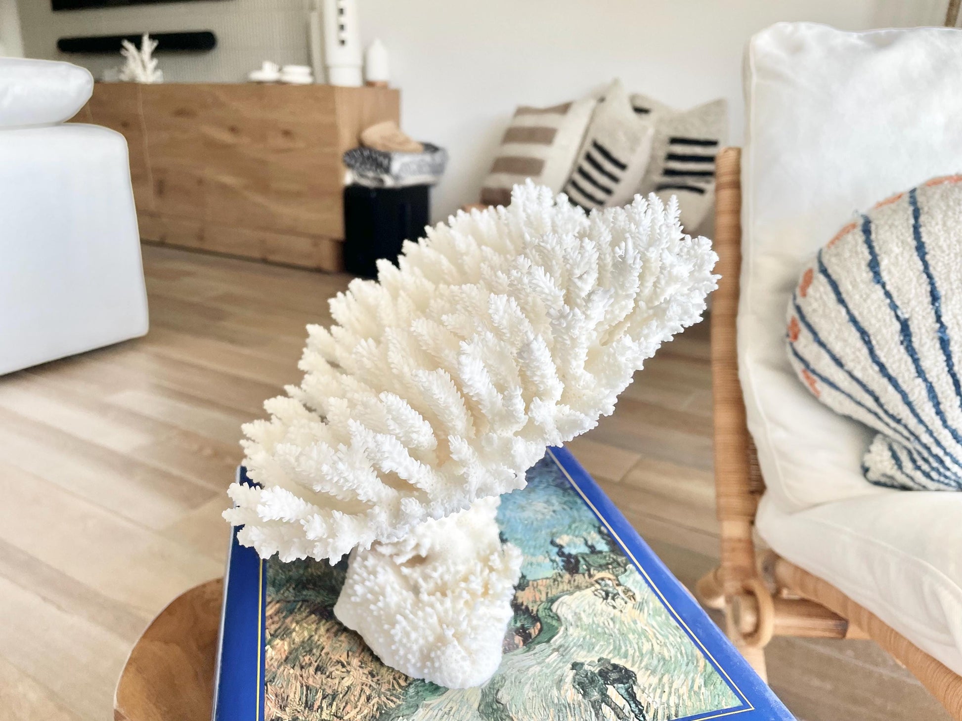 Genuine 100% Natural TABLE CORAL 11.5" x 8.5" x 7.5" White Fossil Specimen Coastal Beach House Décor