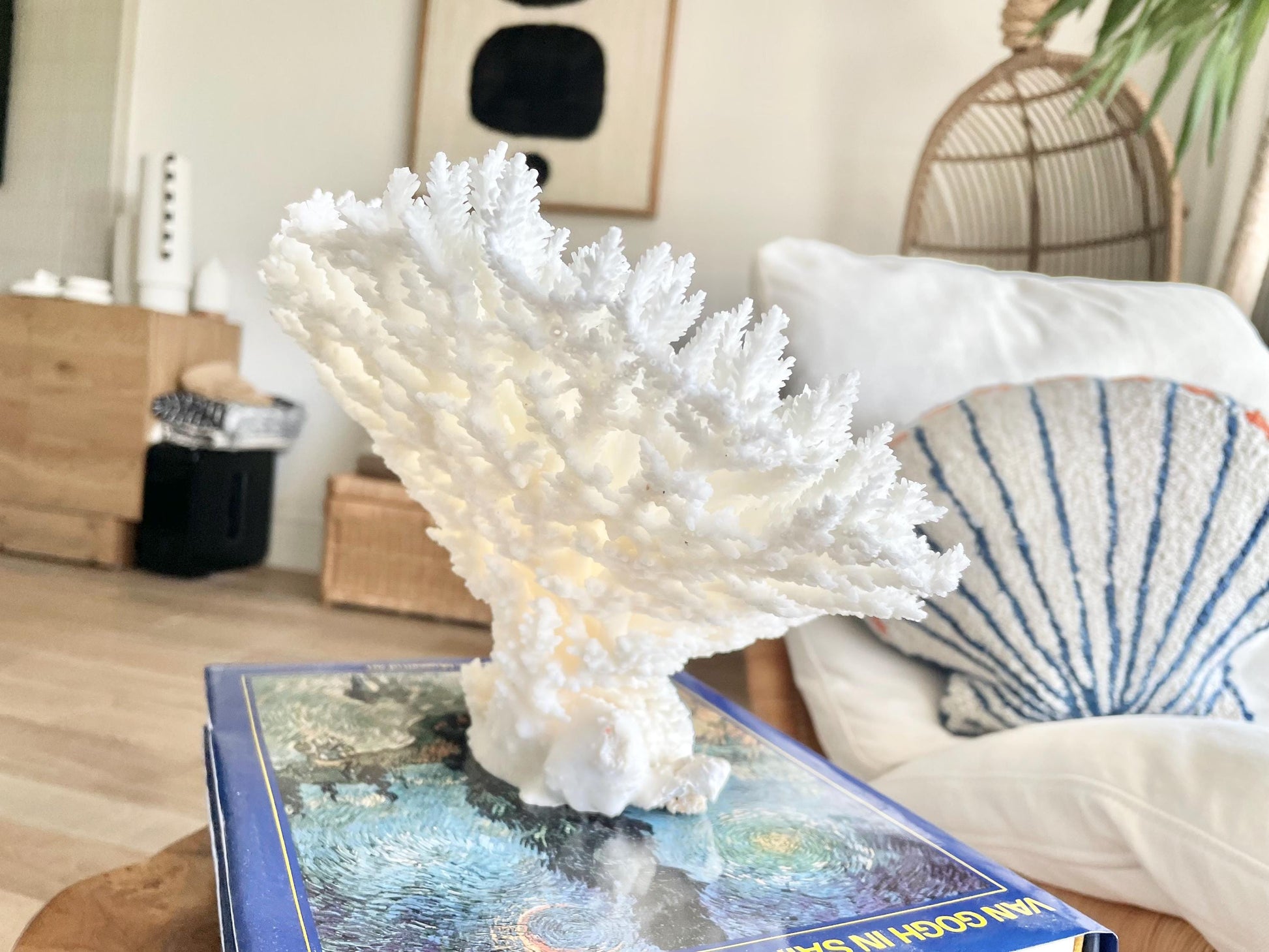 Genuine 100% Natural TABLE CORAL 11.5" x 8.5" x 7.5" White Fossil Specimen Coastal Beach House Décor