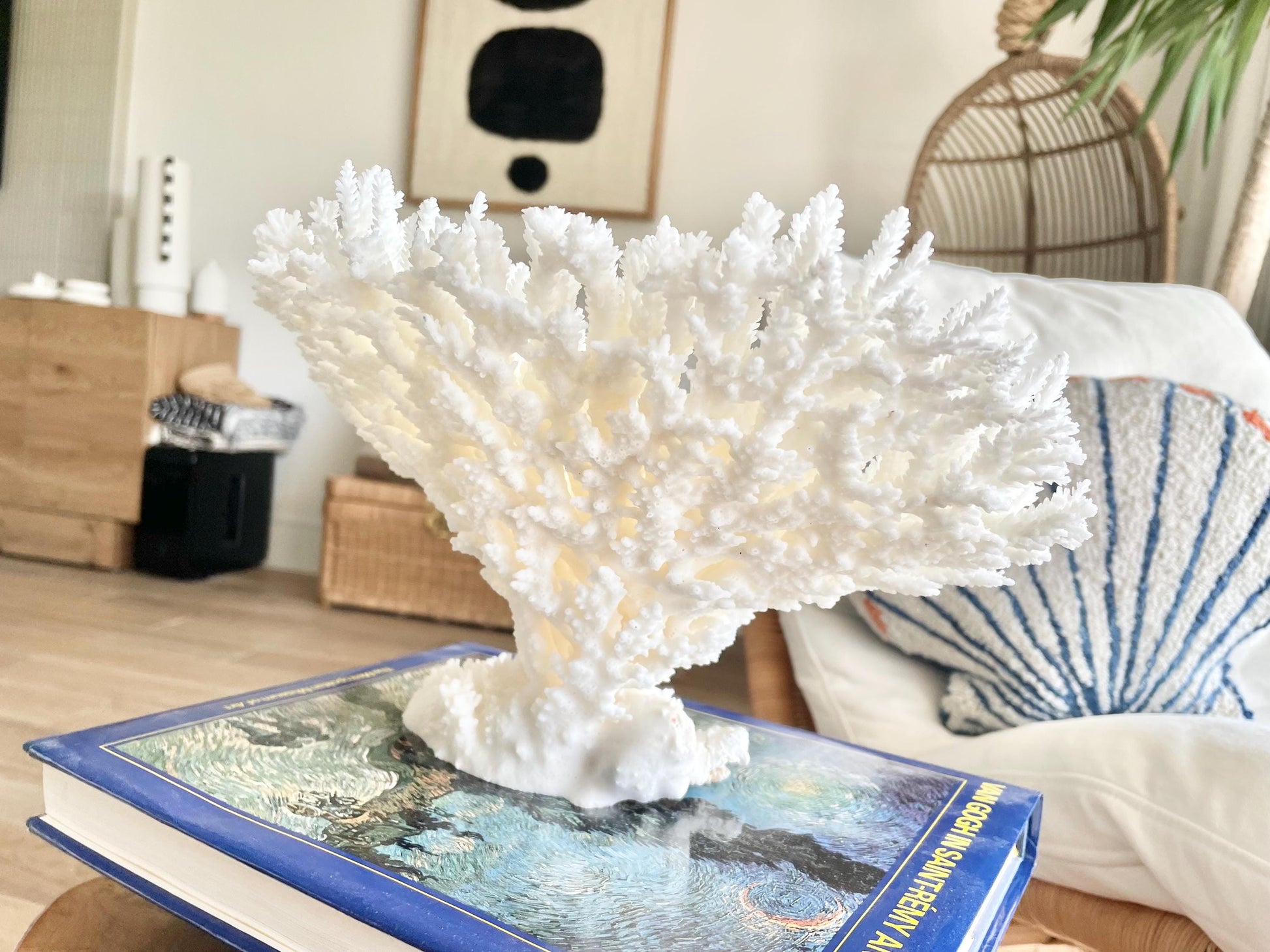 Genuine 100% Natural TABLE CORAL 11.5" x 8.5" x 7.5" White Fossil Specimen Coastal Beach House Décor