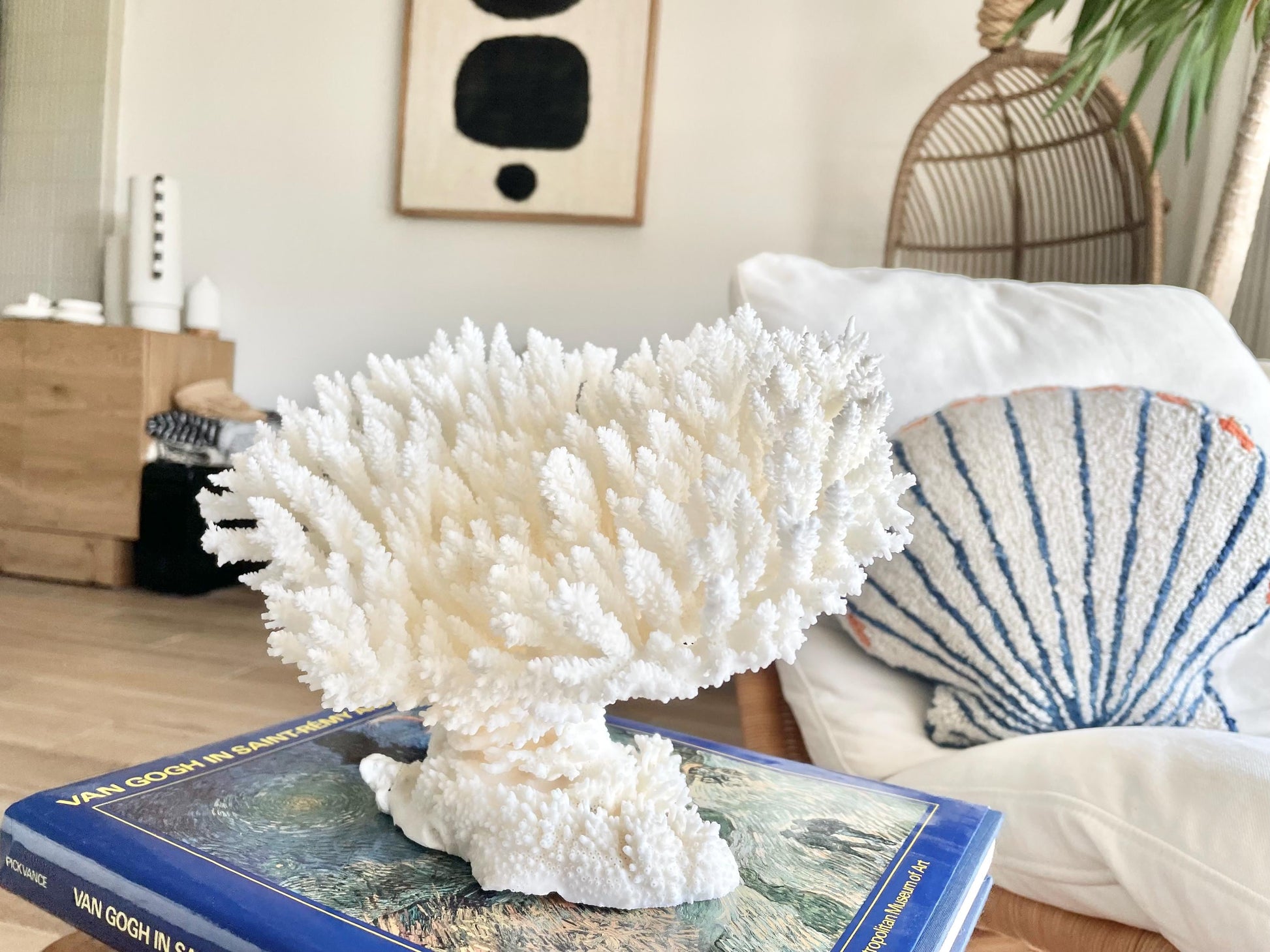 Genuine 100% Natural TABLE CORAL 11.5" x 8.5" x 7.5" White Fossil Specimen Coastal Beach House Décor