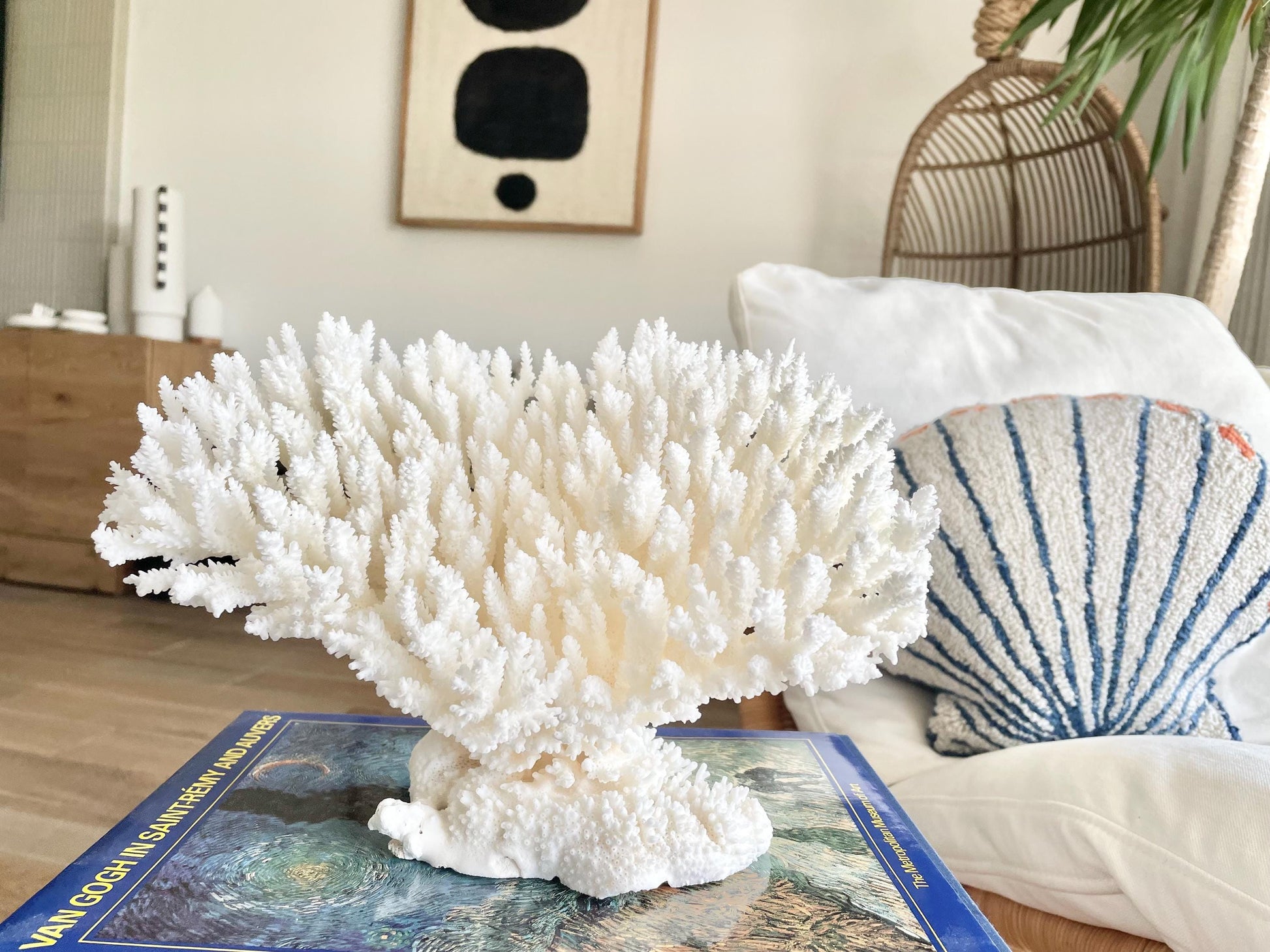 Genuine 100% Natural TABLE CORAL 11.5" x 8.5" x 7.5" White Fossil Specimen Coastal Beach House Décor