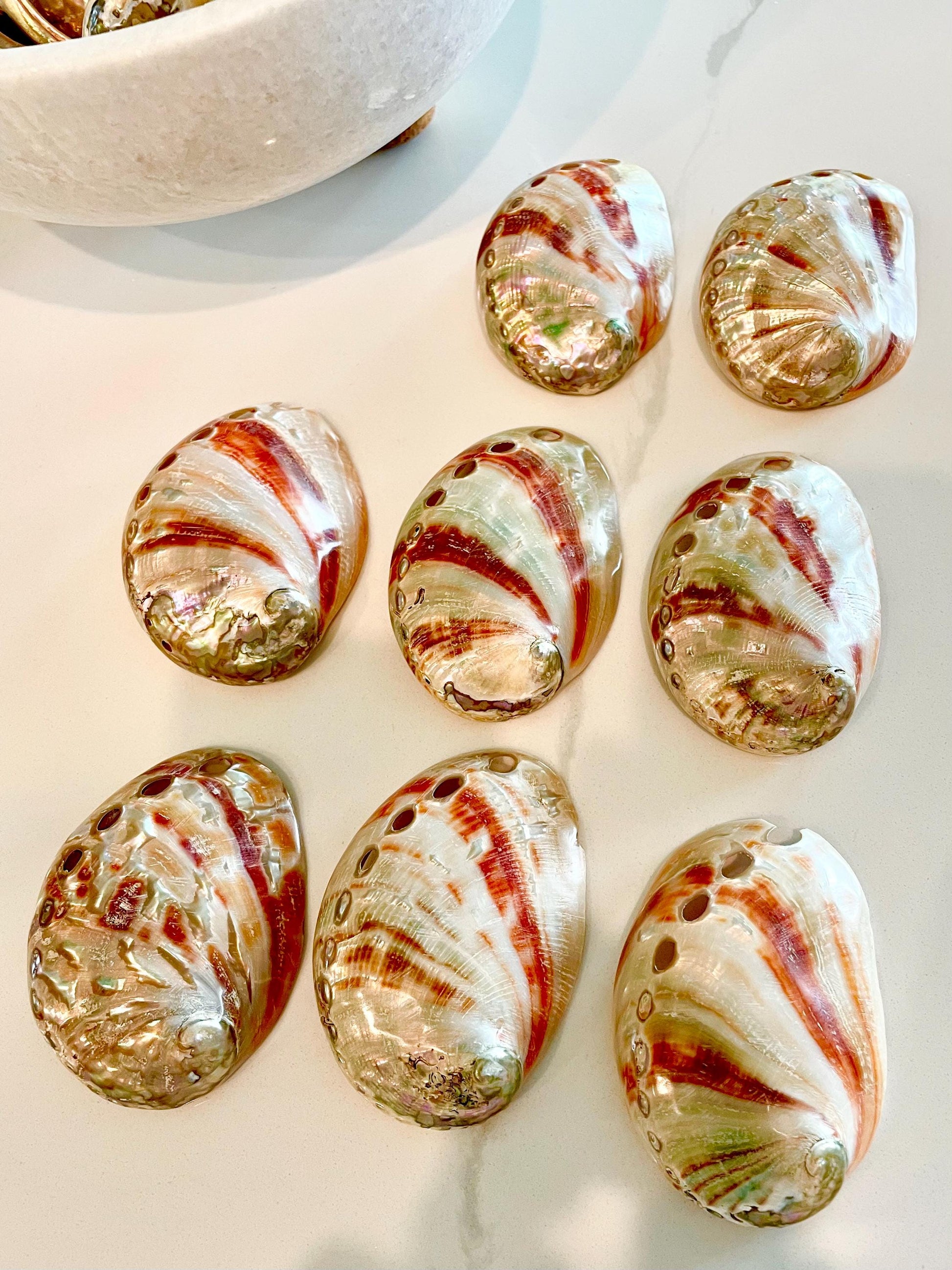 POLISHED RED ABALONE Shells 3-3.5" Natural Color Display Seashell Coastal Décor Sage Dish