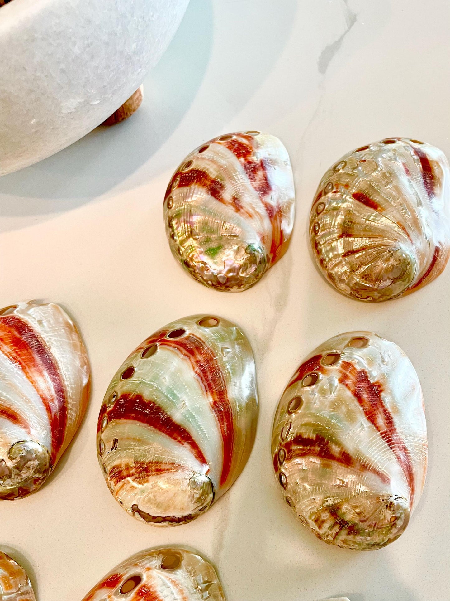 POLISHED RED ABALONE Shells 3-3.5" Natural Color Display Seashell Coastal Décor Sage Dish