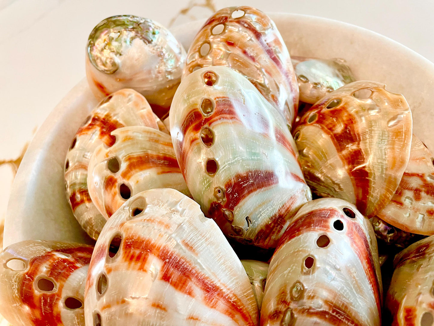 POLISHED RED ABALONE Shells 3-3.5" Natural Color Display Seashell Coastal Décor Sage Dish