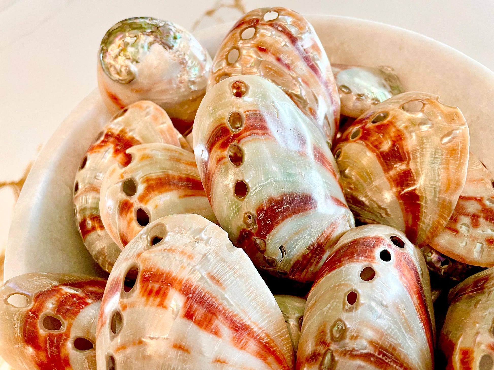 POLISHED RED ABALONE Shells 3-3.5" Natural Color Display Seashell Coastal Décor Sage Dish