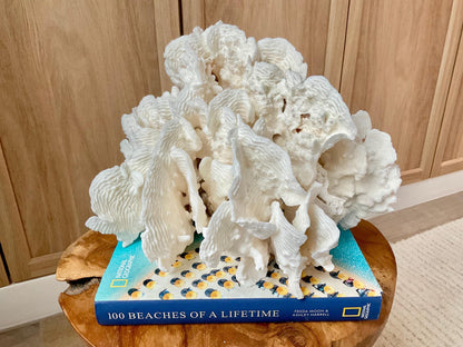 Stunning12" Natural RUGOSA CORAL Fossil Lucite Display Specimen Sculpture Ocean Art Decorative Coastal Beach Home Décor Wedding Gift