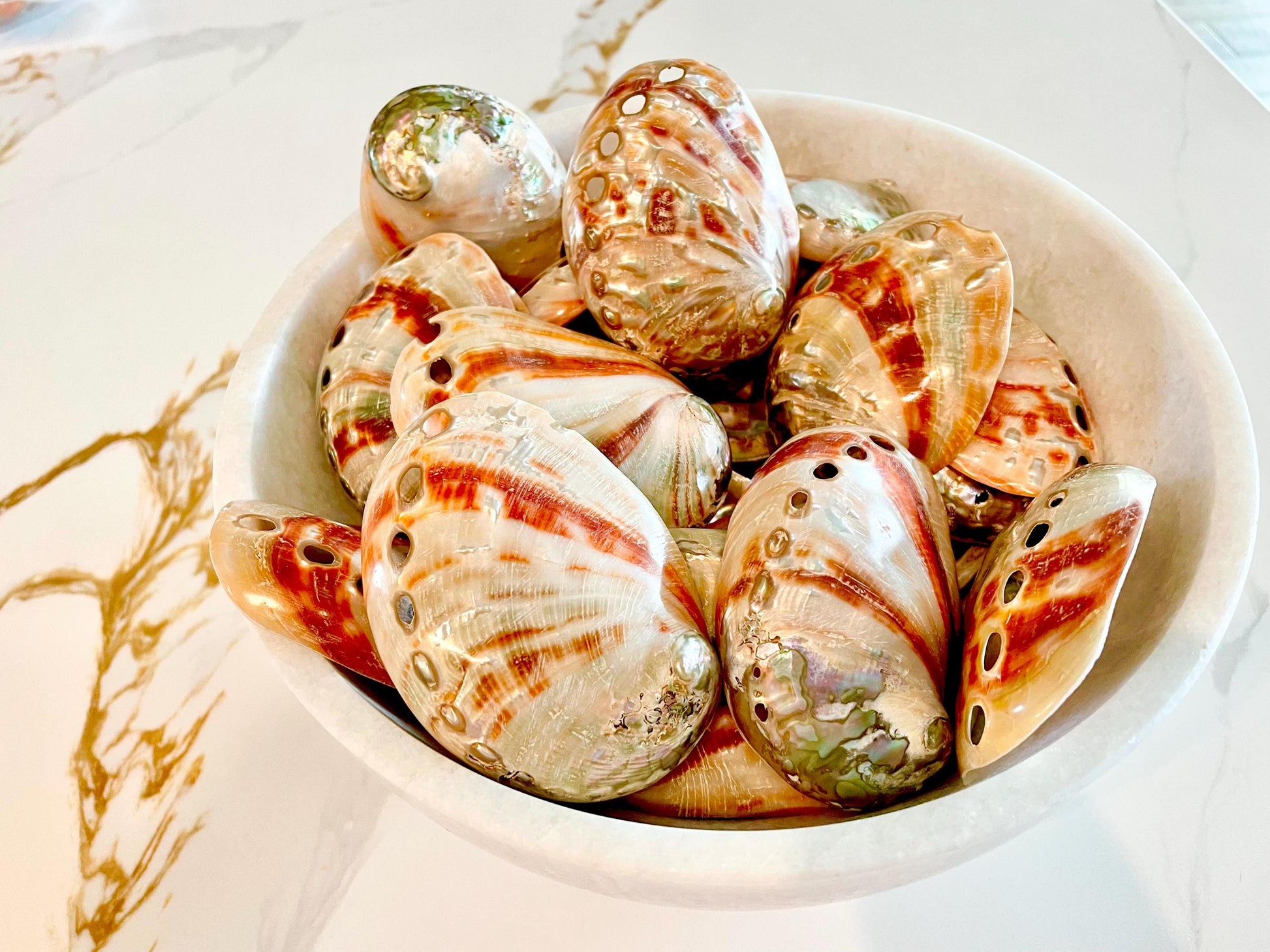 POLISHED RED ABALONE Shells 3-3.5" Natural Color Display Seashell Coastal Décor Sage Dish