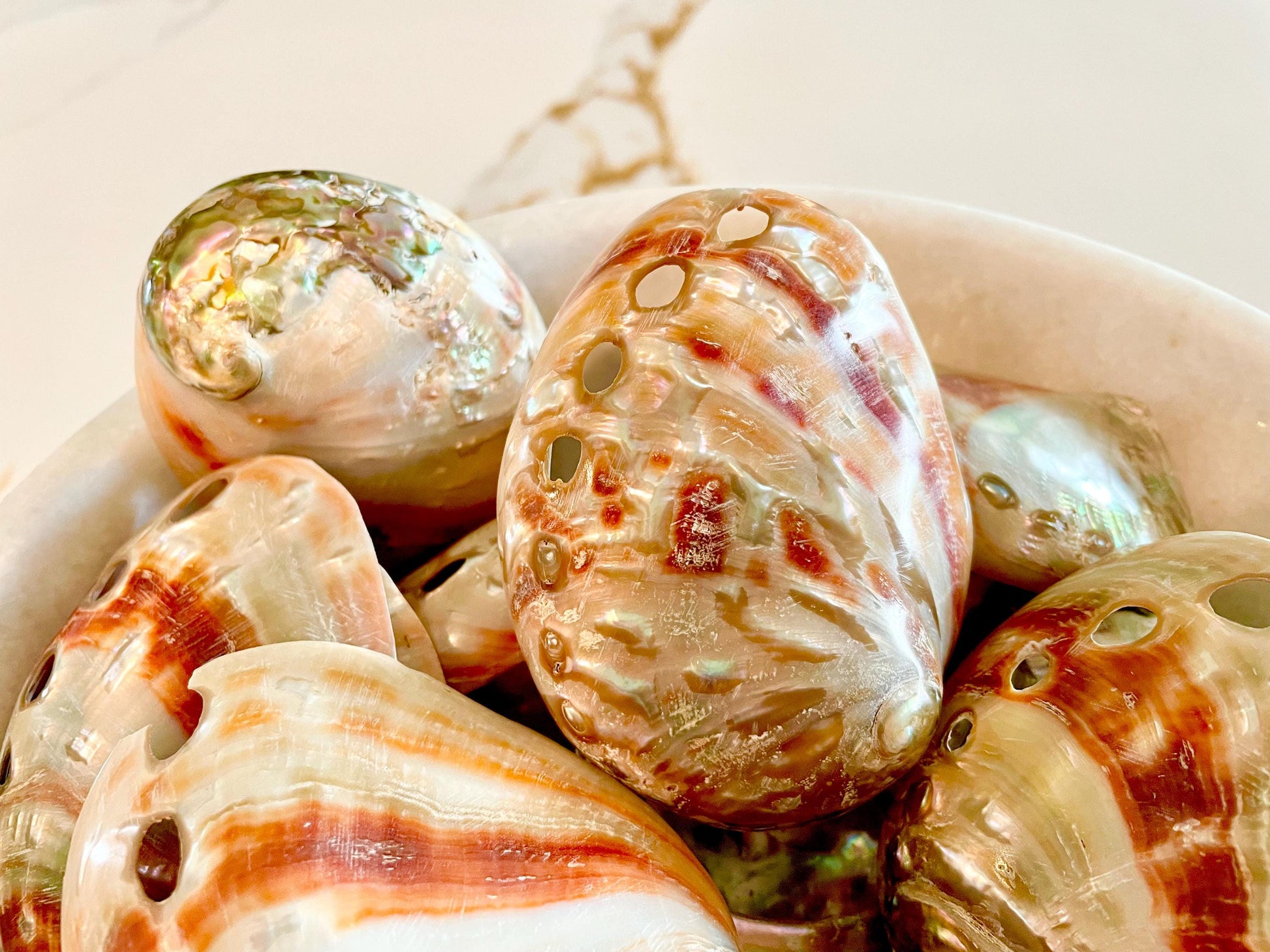 POLISHED RED ABALONE Shells 3-3.5" Natural Color Display Seashell Coastal Décor Sage Dish