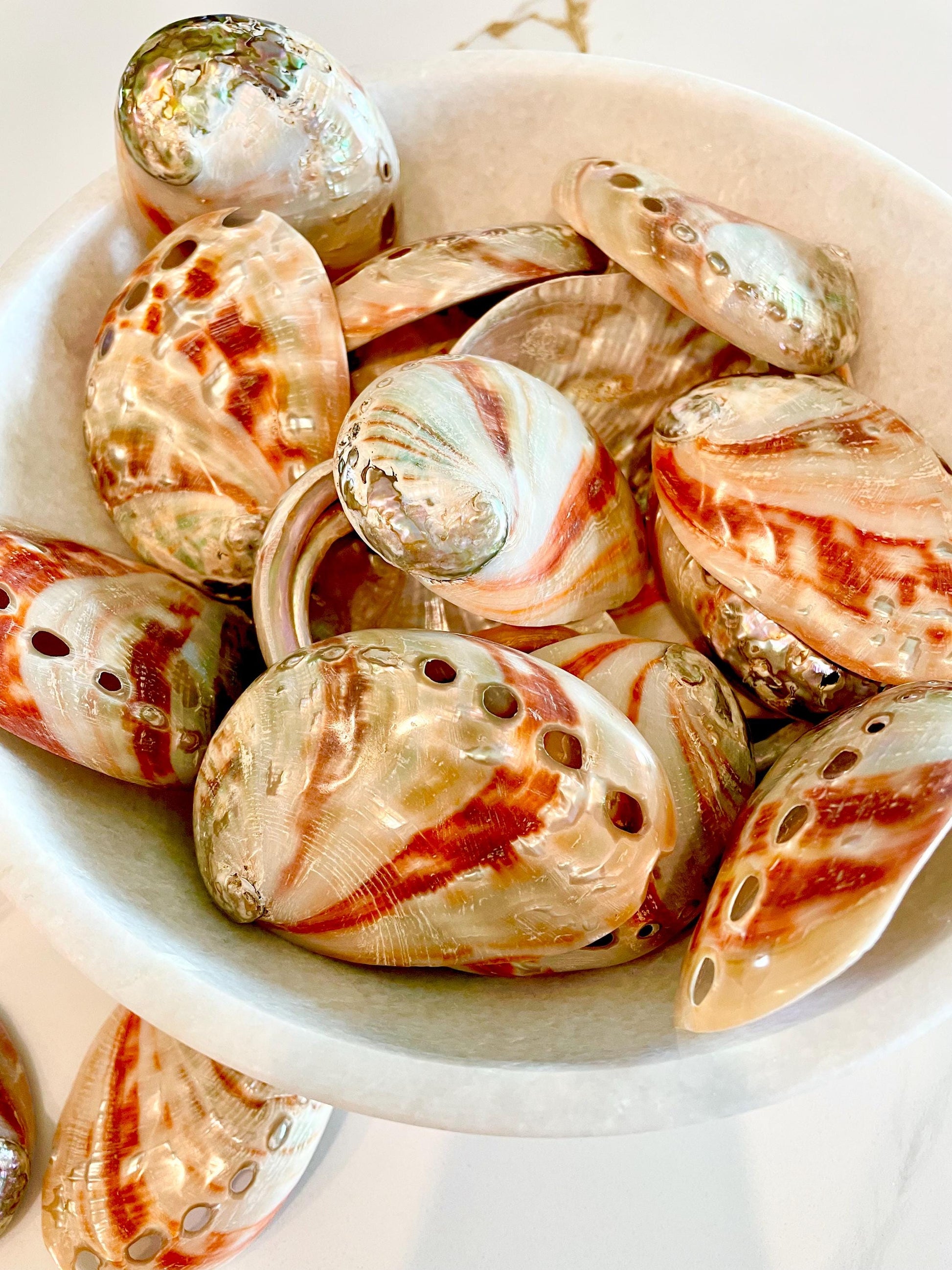 POLISHED RED ABALONE Shells 3-3.5" Natural Color Display Seashell Coastal Décor Sage Dish