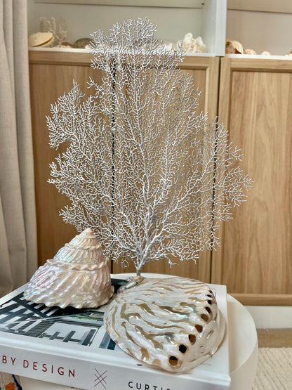 Silver Sea Fan (8-20") *You Choose Size* Natural Hand Painted Coastal Décor