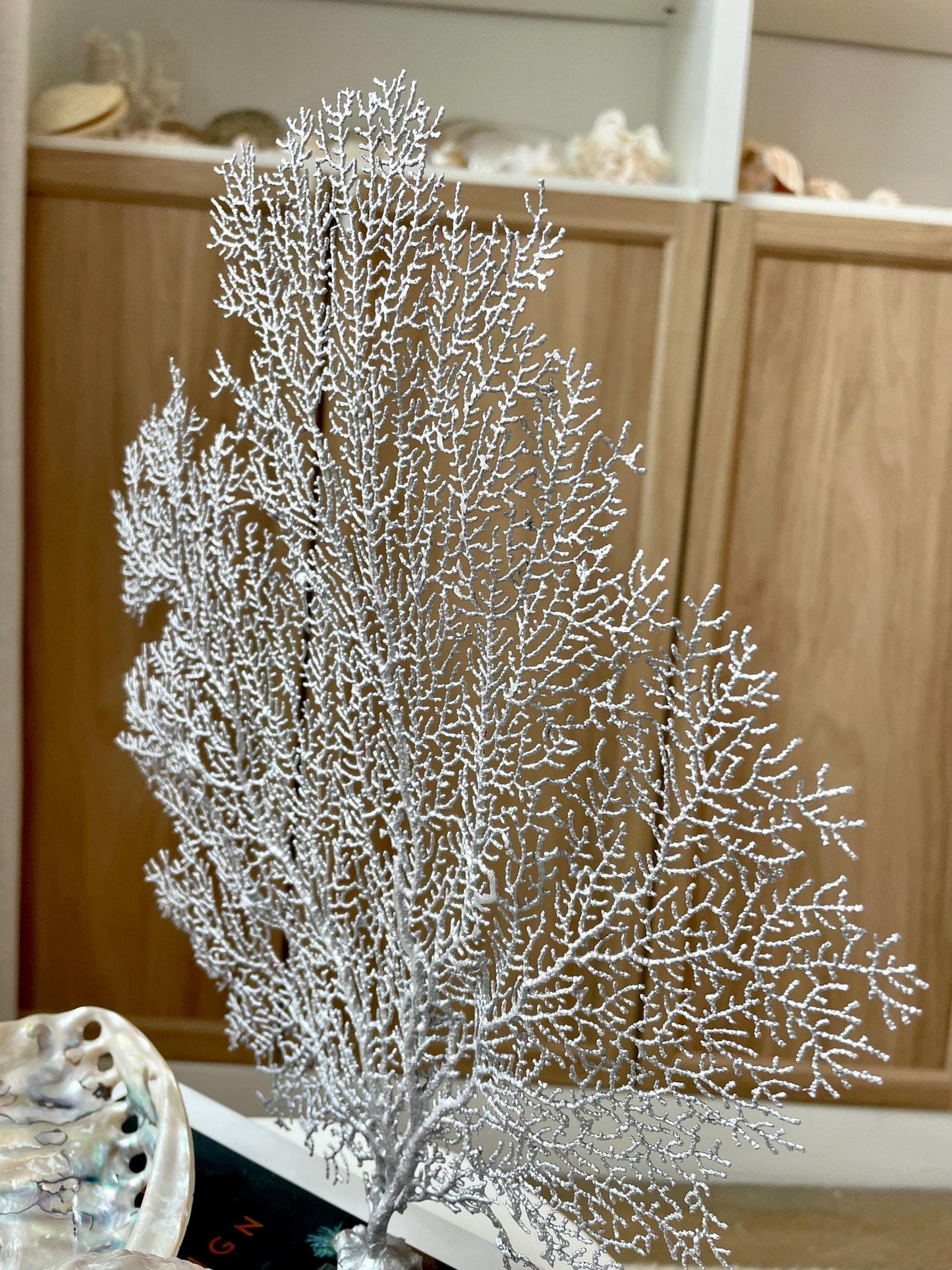 Silver Sea Fan (8-20") *You Choose Size* Natural Hand Painted Coastal Décor