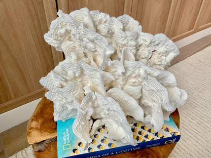 Stunning12" Natural RUGOSA CORAL Fossil Lucite Display Specimen Sculpture Ocean Art Decorative Coastal Beach Home Décor Wedding Gift