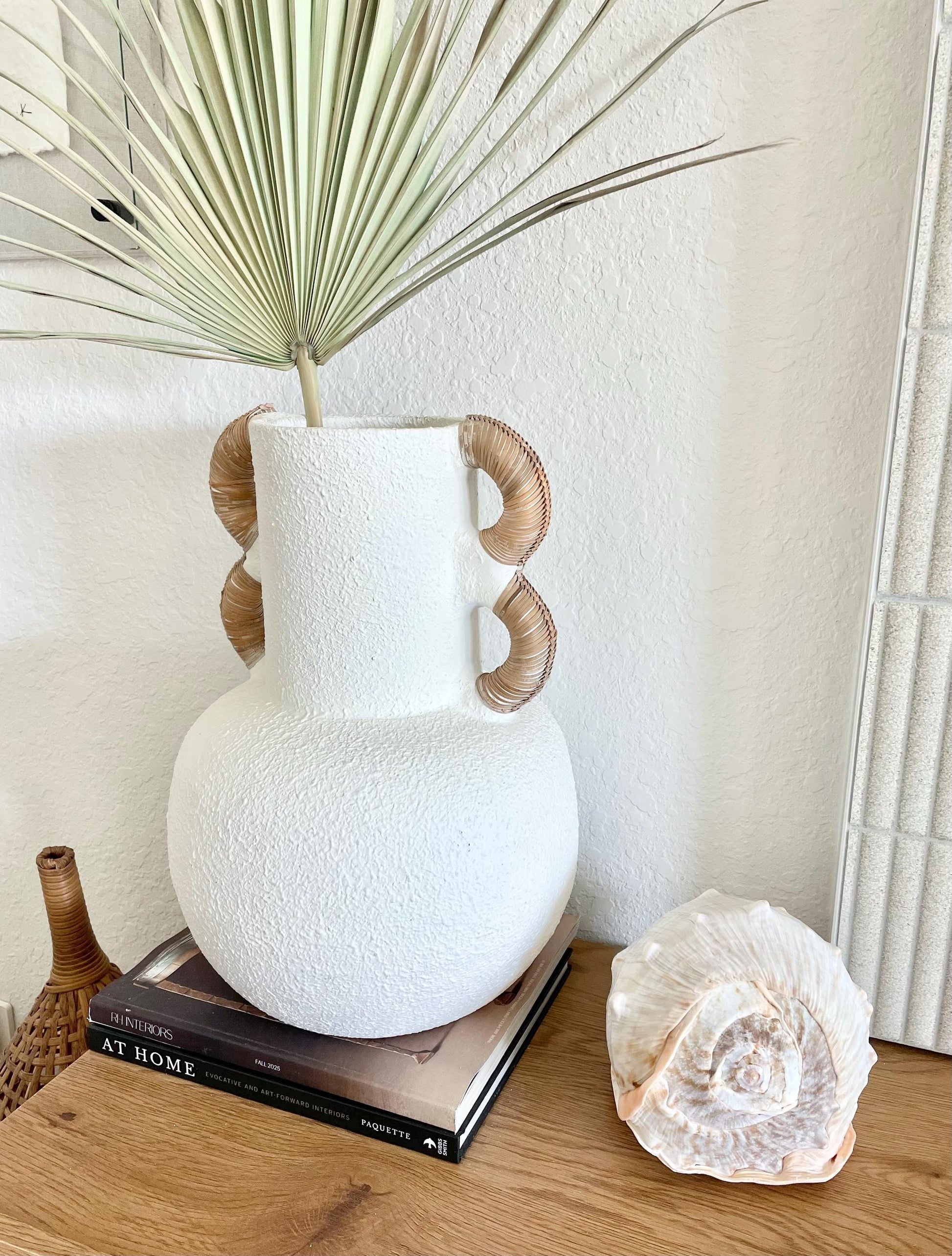 QUEEN HELMET SHELLS *All Sizes* Natural Peach Brown Display Seashells Décor