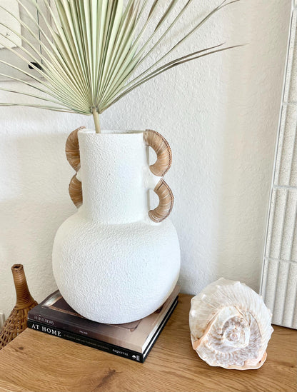 QUEEN HELMET SHELLS *All Sizes* Natural Peach Brown Display Seashells Décor