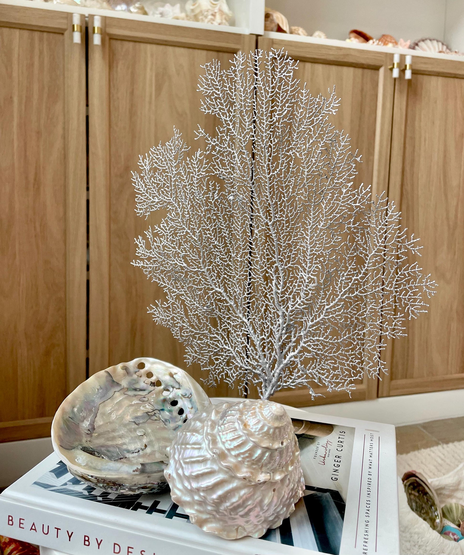 Silver Sea Fan (8-20") *You Choose Size* Natural Hand Painted Coastal Décor