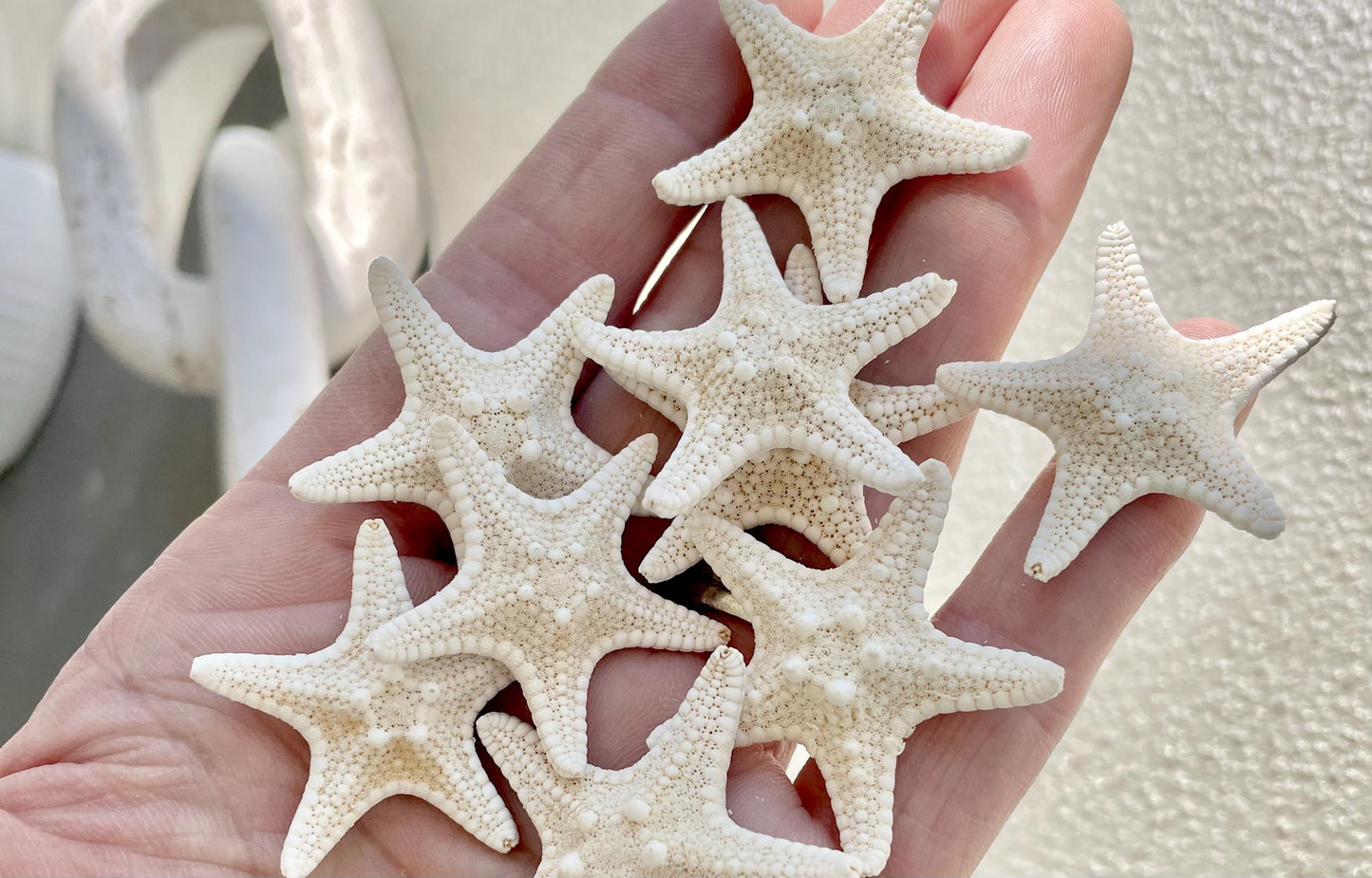 Knobby Starfish 1-10" *You Choose Size* Off White/Tan Crafts & Coastal Décor