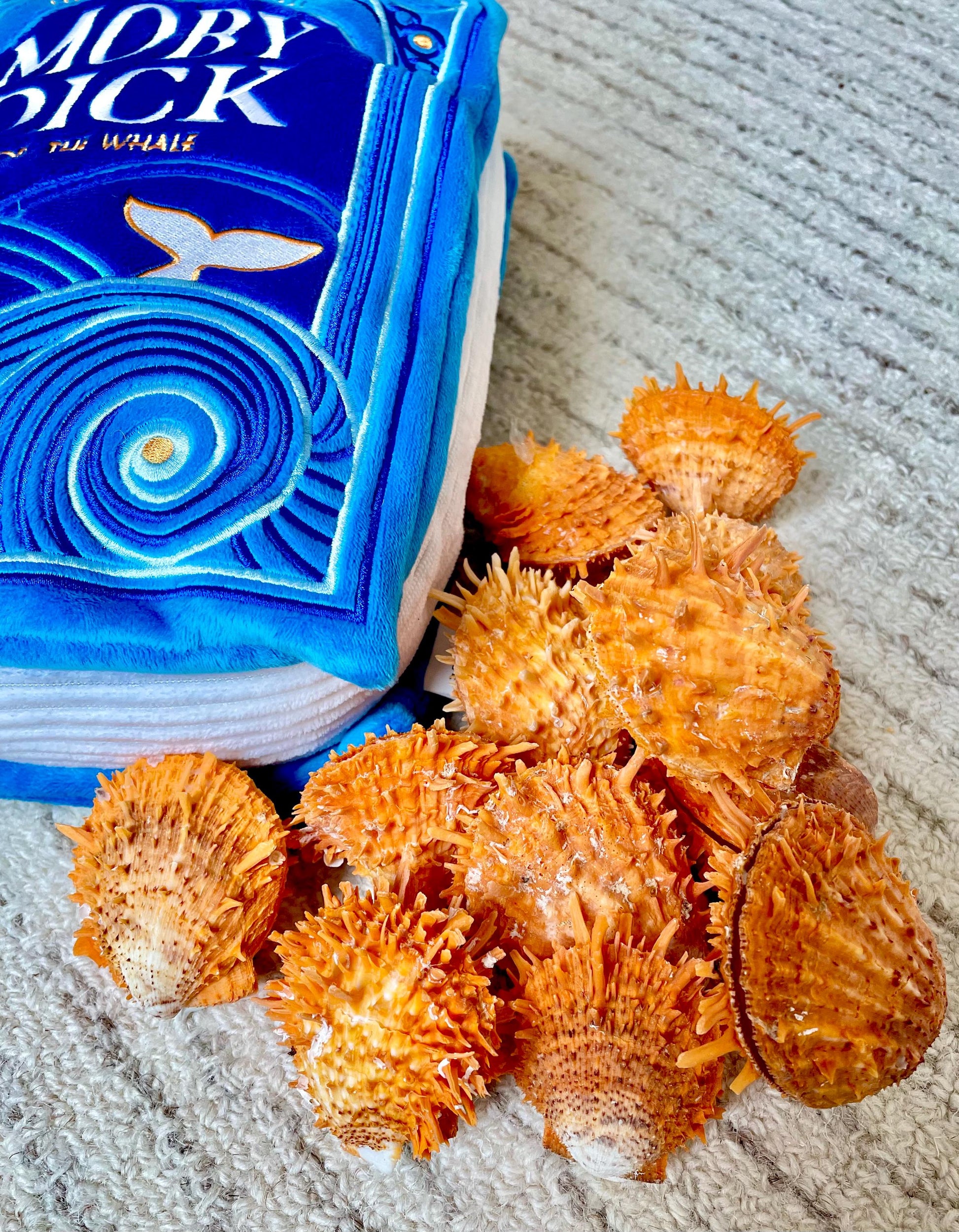 Orange Spiny Oyster Pair Shell 2.5-3" Display, Craft Seashells
