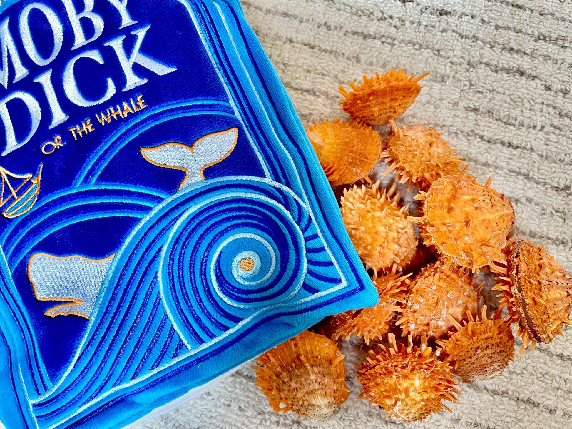 Orange Spiny Oyster Pair Shell 2.5-3" Display, Craft Seashells