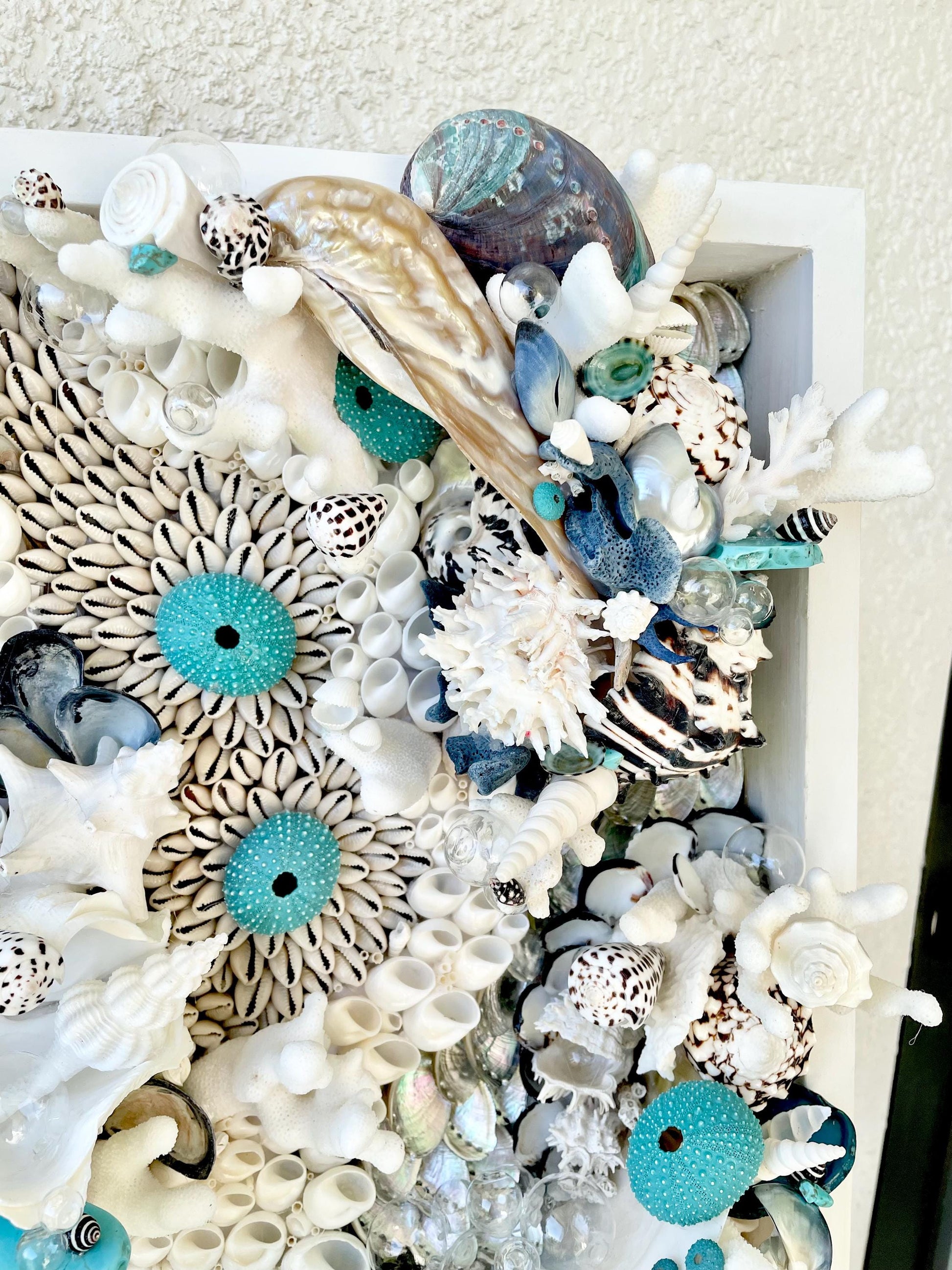 Feeling Bubbly Seashell Wall Art: Textured Coastal Décor, 30x15" Turquoise Blue