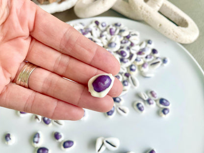 Purple Top Money Cowrie Shells *You Choose Quantity* .5-1" White Small Craft Seashells