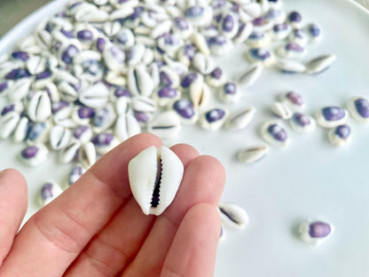 Purple Top Money Cowrie Shells *You Choose Quantity* .5-1" White Small Craft Seashells