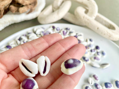 Purple Top Money Cowrie Shells *You Choose Quantity* .5-1" White Small Craft Seashells