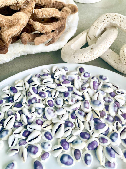 Purple Top Money Cowrie Shells *You Choose Quantity* .5-1" White Small Craft Seashells