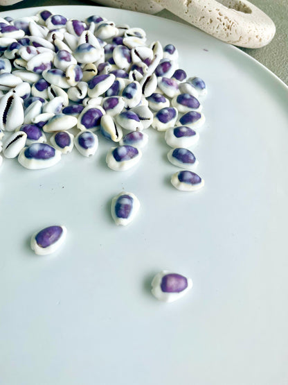 Purple Top Money Cowrie Shells *You Choose Quantity* .5-1" White Small Craft Seashells