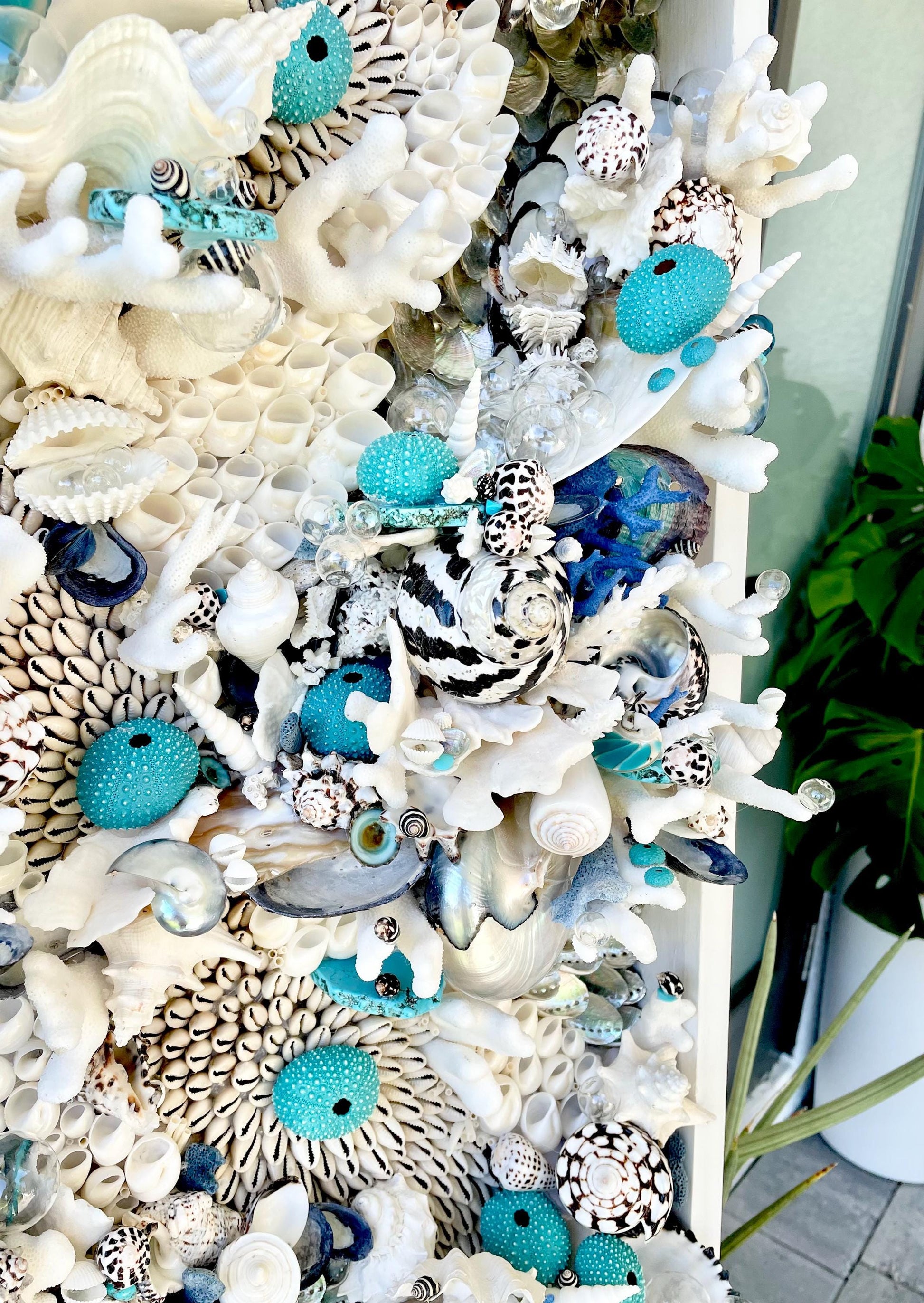 Feeling Bubbly Seashell Wall Art: Textured Coastal Décor, 30x15" Turquoise Blue