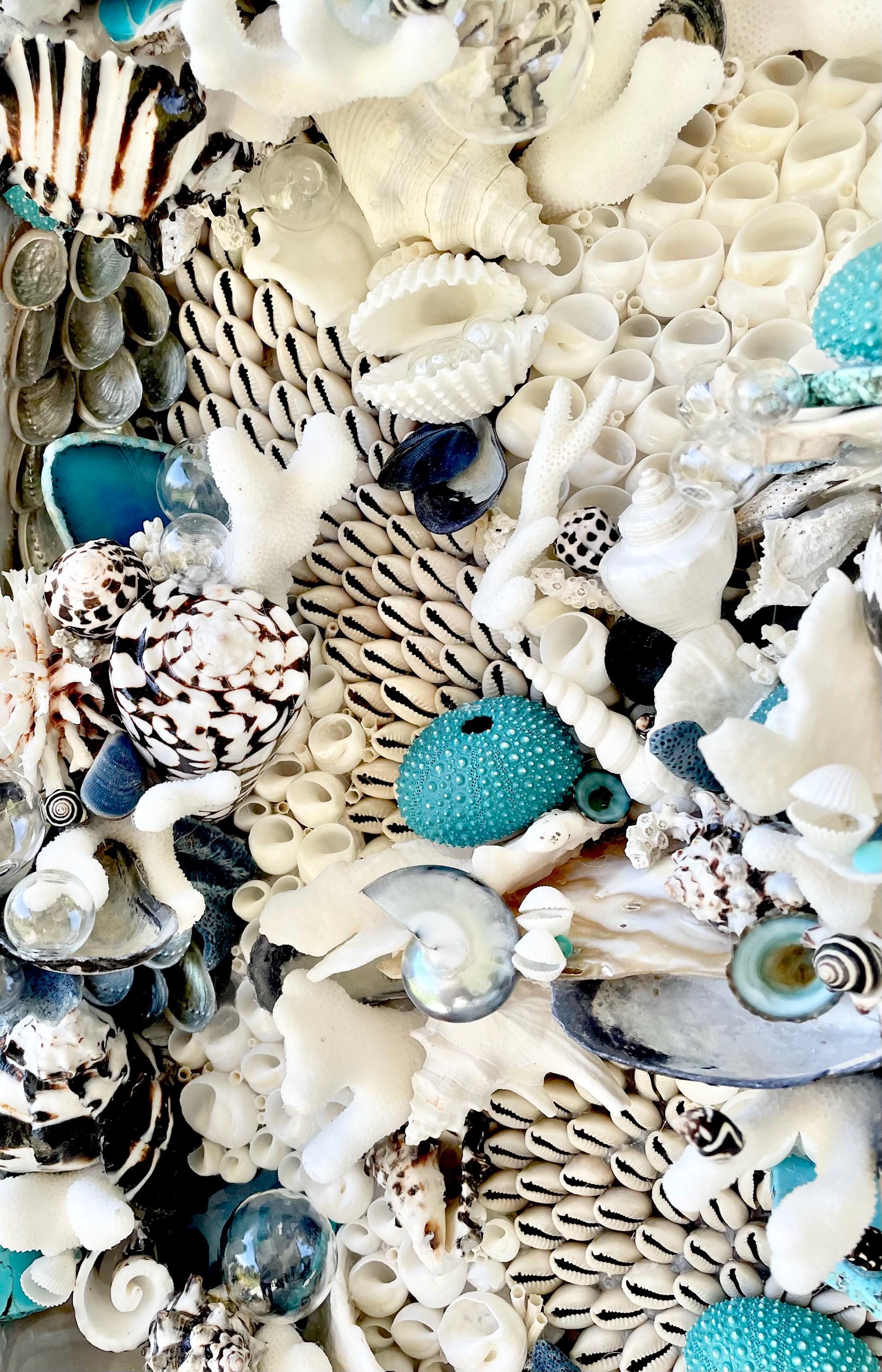 Feeling Bubbly Seashell Wall Art: Textured Coastal Décor, 30x15" Turquoise Blue