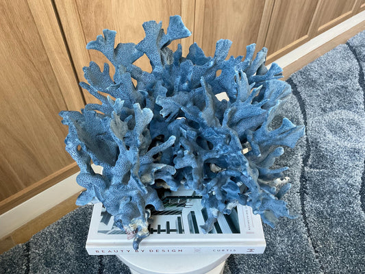 Blue Ridge Coral Fossil Specimen: 12.5" x 10" x 9" Coastal Beach House Décor